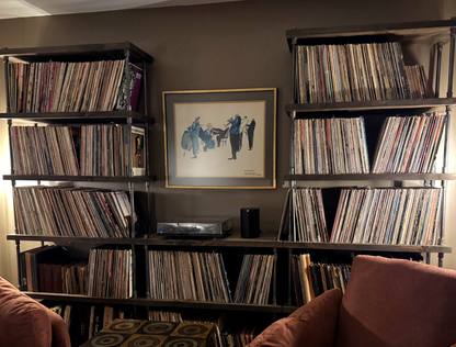 Record collection on shelves in a room with a sofa and framed picture.