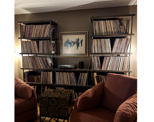 Vinyl Record Bookcase